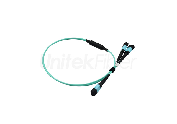 mtp fiber cable 04