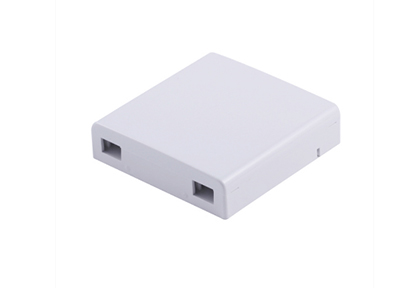 Supply Fiber Optic Faceplate & FTTH Terminal Box 2 Port