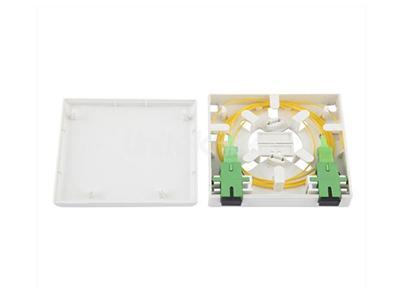 Supply Fiber Optic Faceplate & FTTH Terminal Box 2 Port