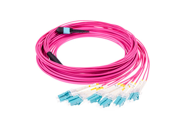 MTP - LC Fiber Optic Fanout Patch Cord 8 to 144 Cores Multimode OM4 Erica Violet OFNP