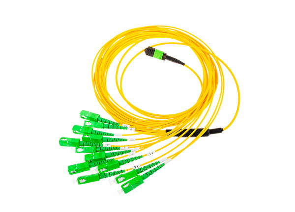 Fiber Optic Mtp