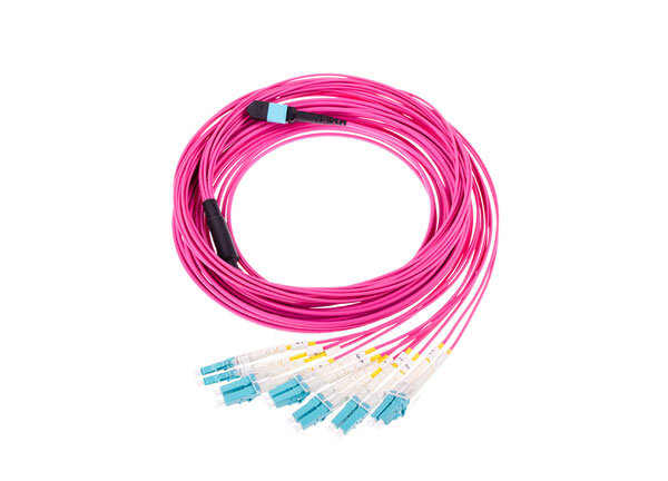 mtp   lc fiber optic fanout 12 cores om4 erica violet ofnp 3