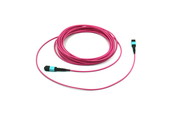 MPO MTP Fiber Cable|MTP MPO Type B Fiber Optic Patchcord OM3 OM4 12 Cores 24 Cores
