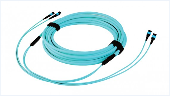 MTP-MTP_Trunk_Cables_OM3_24F.png