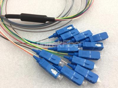 High Quality Ribbon Bare Fiber Optic Pigtail SC/UPC 12 fibers Fanouts G657A1