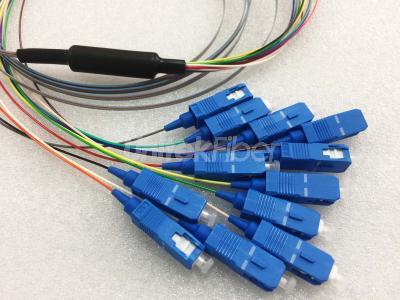 High Quality Ribbon Bare Fiber Optic Pigtail SC/UPC 12 fibers Fanouts G657A1