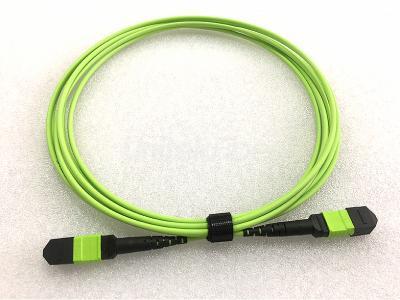 High Density MTP-MTP Trunk Patch Cable 12 24 cores OM5 LSZH 3m for Data Center Cabling