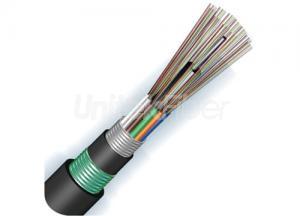 Direct Burry Fiber Optic Cable|GYTA53 Fiber Cable 24 Core SM Aluminum Armored Double Sheathed Loose Tube