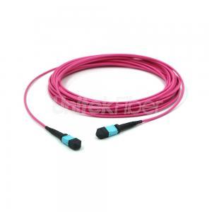 MPO-MPO 24 Fiber Patch Cord Type B OM4 50125um Pink 2.0mm MM 40G Data Center Cabling