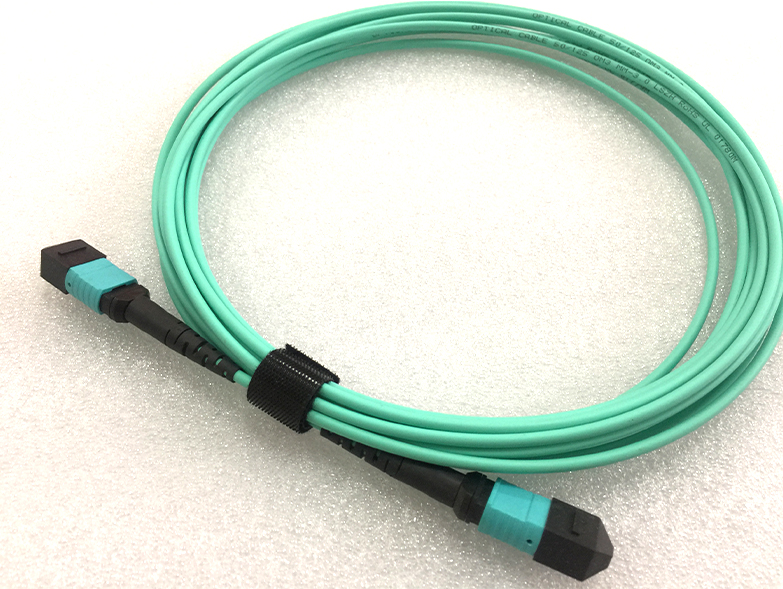 Excellent MPO-MPO Fiber Patch Cord 12 Core for Data Center Installation OM3 OM4 LSZH 2m