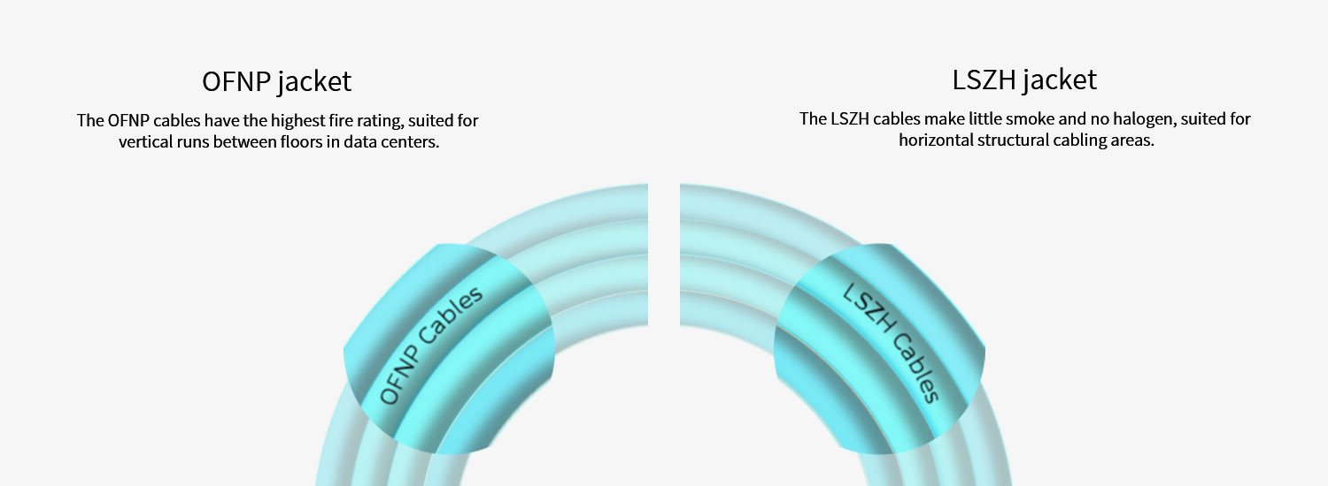 Best MTP/MPO Fiber Cable|MPO- MPO Trunk Cable OM3 Aqua 12 cores Multimode Connector 3M LS