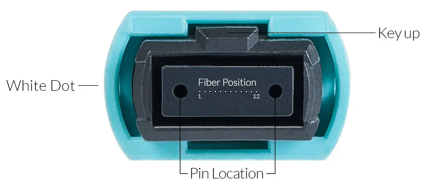 MPO/MTP Fiber Cable|MPO-SC Fiber Optical Branch Patch Cord 12 cores 0.9mm SM MM