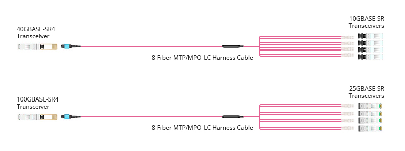 MTP - LC Fiber Optic Fanout Patch Cord 8 to 144 Cores Multimode OM4 Erica Violet OFNP