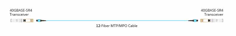 High Density MTP-MTP Trunk Patch Cable 12 24 Cores OM5 LSZH 3m for Data Center Cabling