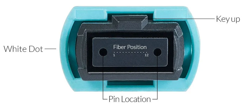 Hot MPO-MPO Fiber Optic Jumper 24 cores OM3 OM4 LSZH 3m for Data Center Installation