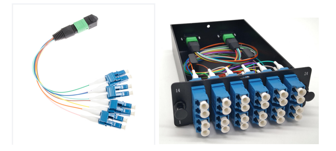 8core Mpo-Mtp-Lc 24core