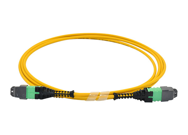 High Quality US Conec MTP® PRO to MTP® PRO 12cores Single Mode Fiber Optical Patch Cord 2.0mm for Data Cabling