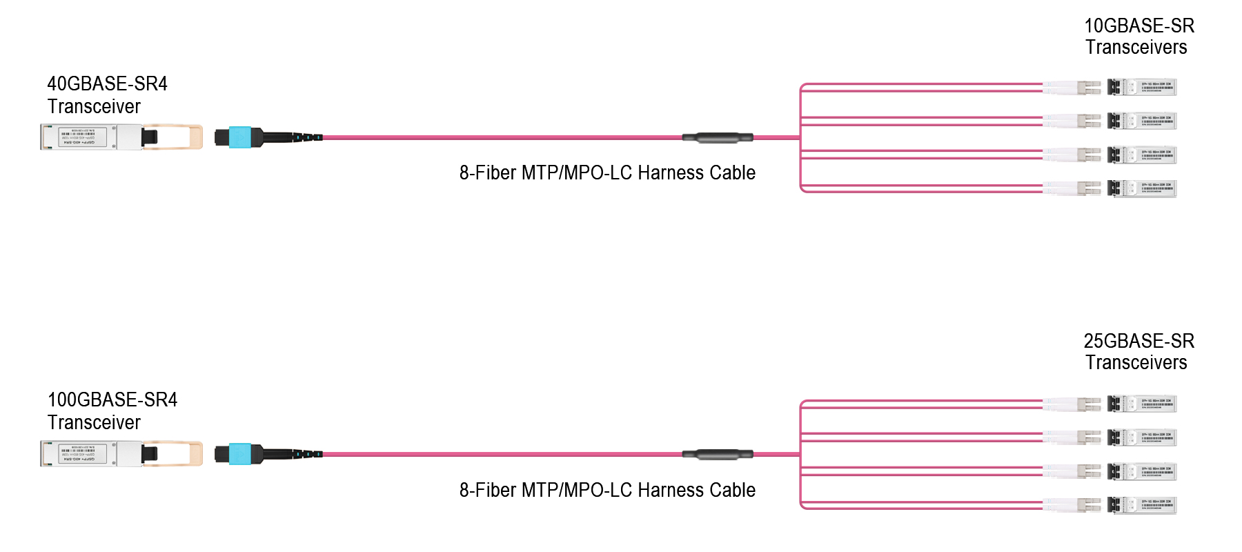 MTP MPO Fiber Cables Ensures Transmission Quality
