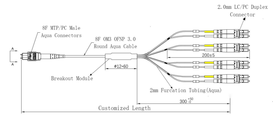MTP to 4 LC Duplex 8 Fibers Drawing