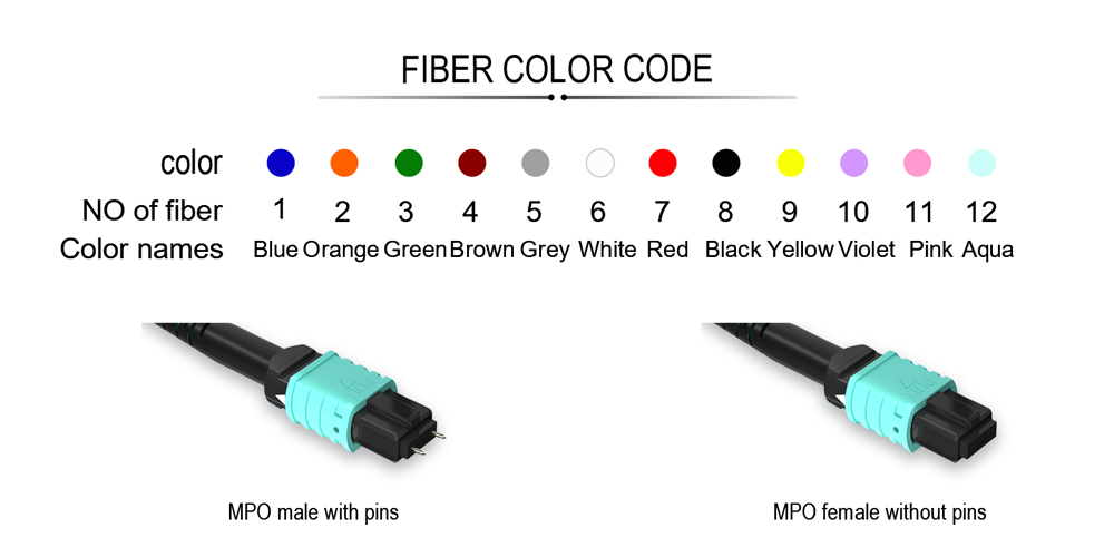 High Density Fiber Patch Cord 24 Core MPO to 12 core MPO multimode OM3 OFNP