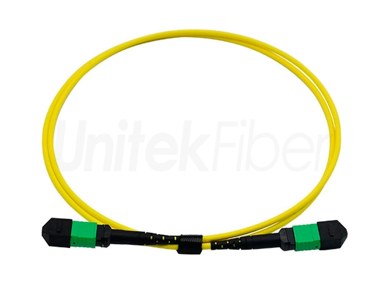 MTP MPO Fiber Cable|Factory Supply Fiber Optic Patch Cord SM 8 12 Core MTP/MPO Trunk Cable