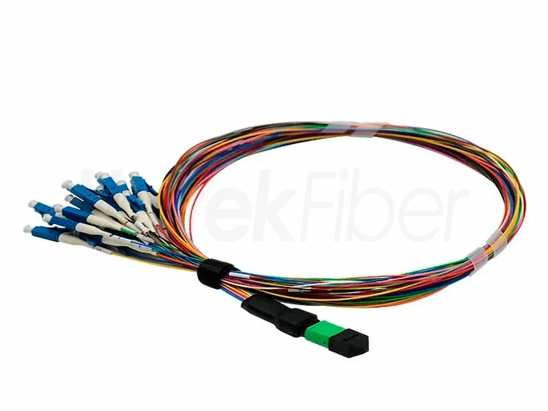 mtp fiber