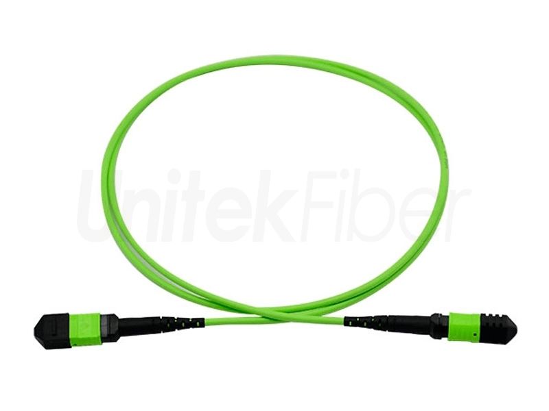 MTP MPO Fiber Cable|Female MPO/MTP Fiber Jumper 8 12 24 Core MM OM5 3.0mm LSZH