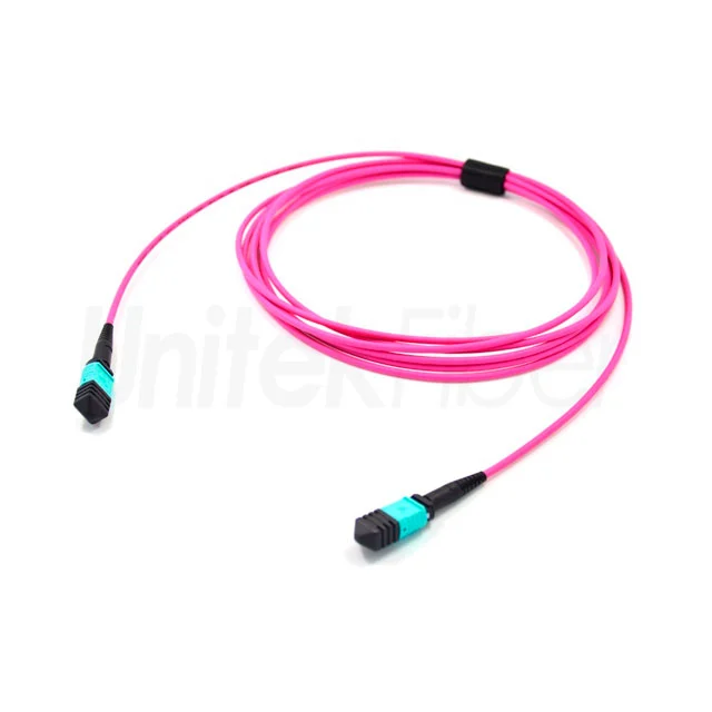 MPO-MPO 24 Fiber Patch Cord Type B OM4 50125um Pink 2.0mm MM 40G Data Center Cabling