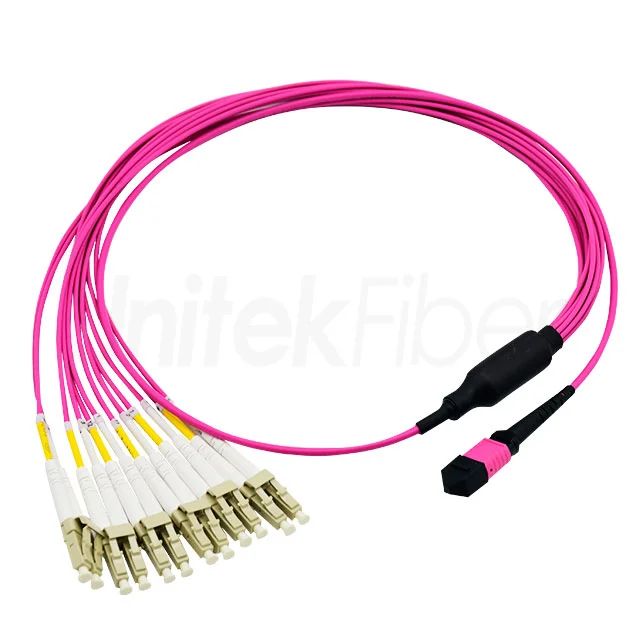 MTP MPO Fiber Patch Cord|MTP MPO-LC Fiber Patch Cable 12cores MM OM4 Customized Length LSZH