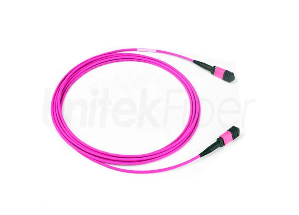 MTP MPO Fiber Cable| MPO MTP Connector 12cores 24cores Trunk Cable Patch Cord OM4 100G