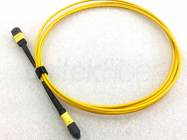 fiber optic mtp