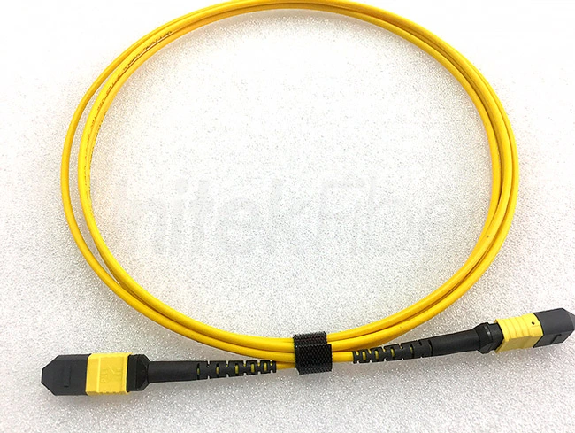 Indoor Data Center 24 Core MTP-MTP Fiber Optic Patch Cord SM Fire Redundant LSZH 1M