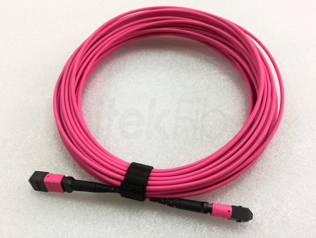 High Density MPO/MTP Fiber Cable|MPO- MPO Trunk Cable 12 Cores OM4 Pink 10M LSZH