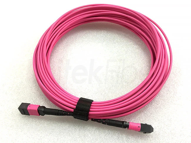 Hot MPO-MPO Fiber Optic Jumper 24 Cores OM3 OM4 LSZH 3m for Data Center Installation