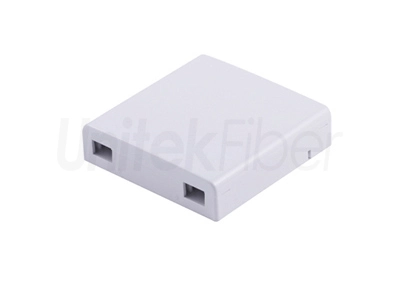 Supply Fiber Optic Faceplate & FTTH Terminal Box 2 Port