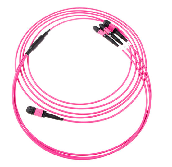 24 Cores Fiber Optic Mpo-Mpo Patch Cord Om4