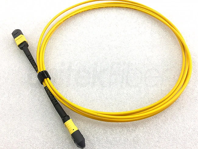 fiber optic mtp1691722753