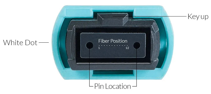 MTP MPO Fiber Cable| MPO MTP Connector 12cores 24cores Trunk Cable Patch Cord OM4 100G