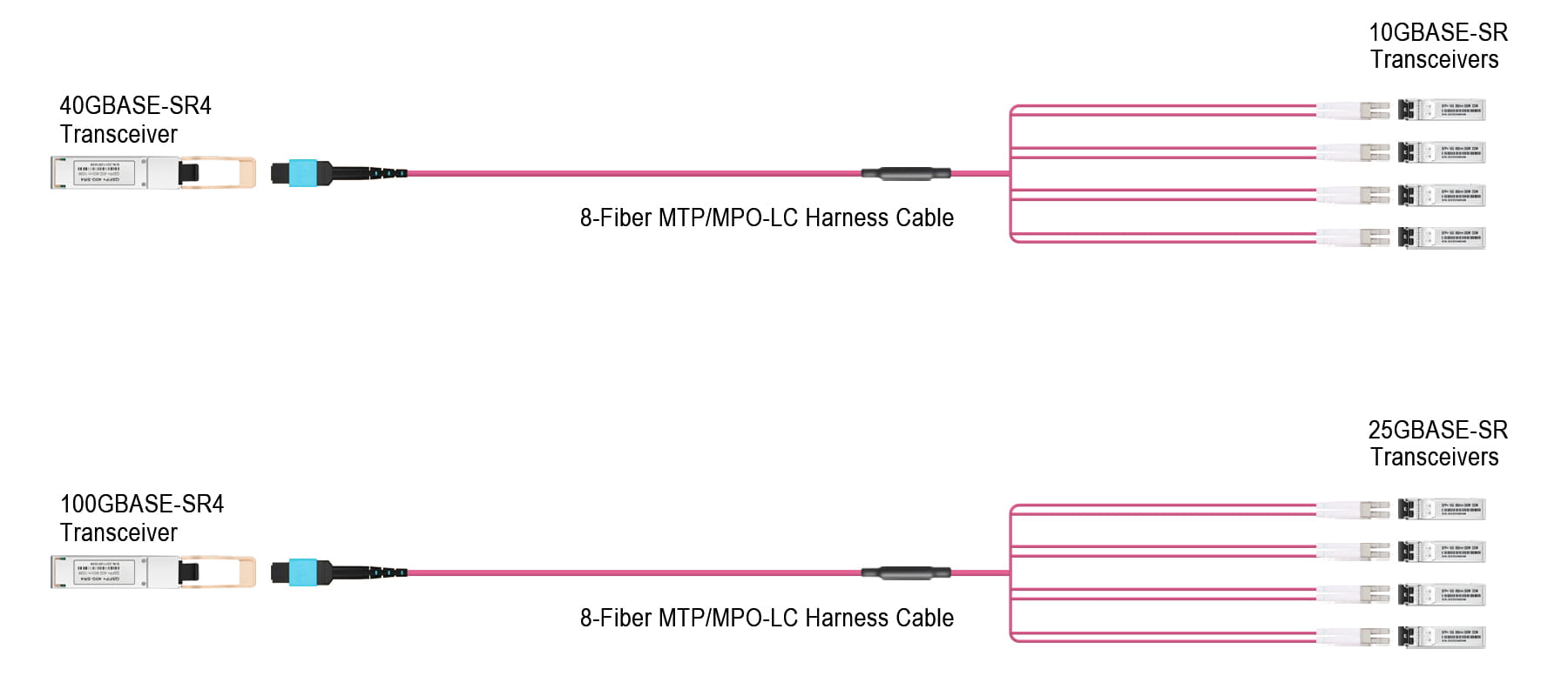 MTP Female to 4 LC UPC Duplex 8 Fibers Type B Plenum (OFNP) OM4 50/125 Multimode Breakout Cable