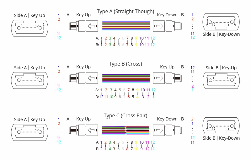 Why Does MPO-MTP Cable is so Popular?