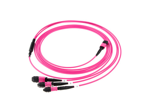 MTP MPO Fiber Cable|Multimode OM4 24F to 3*8F MPO/MTP Fan-out Fiber Optic Jumper LSZH