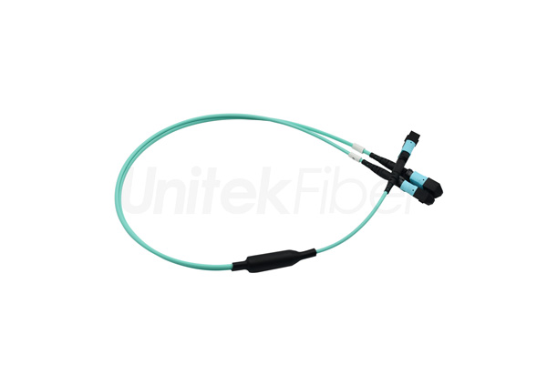 mtp fiber cable 002