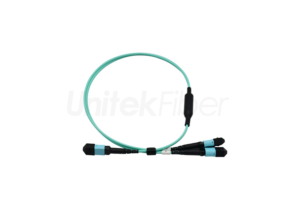 mtp fiber cable 003