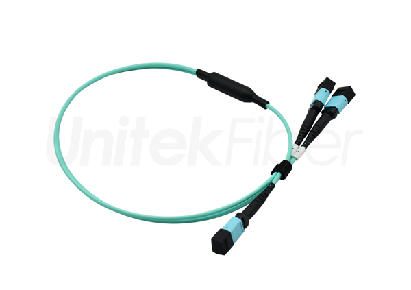 fiber cable mpo mtp fiber patch cord 24c multi mode om3 lszh