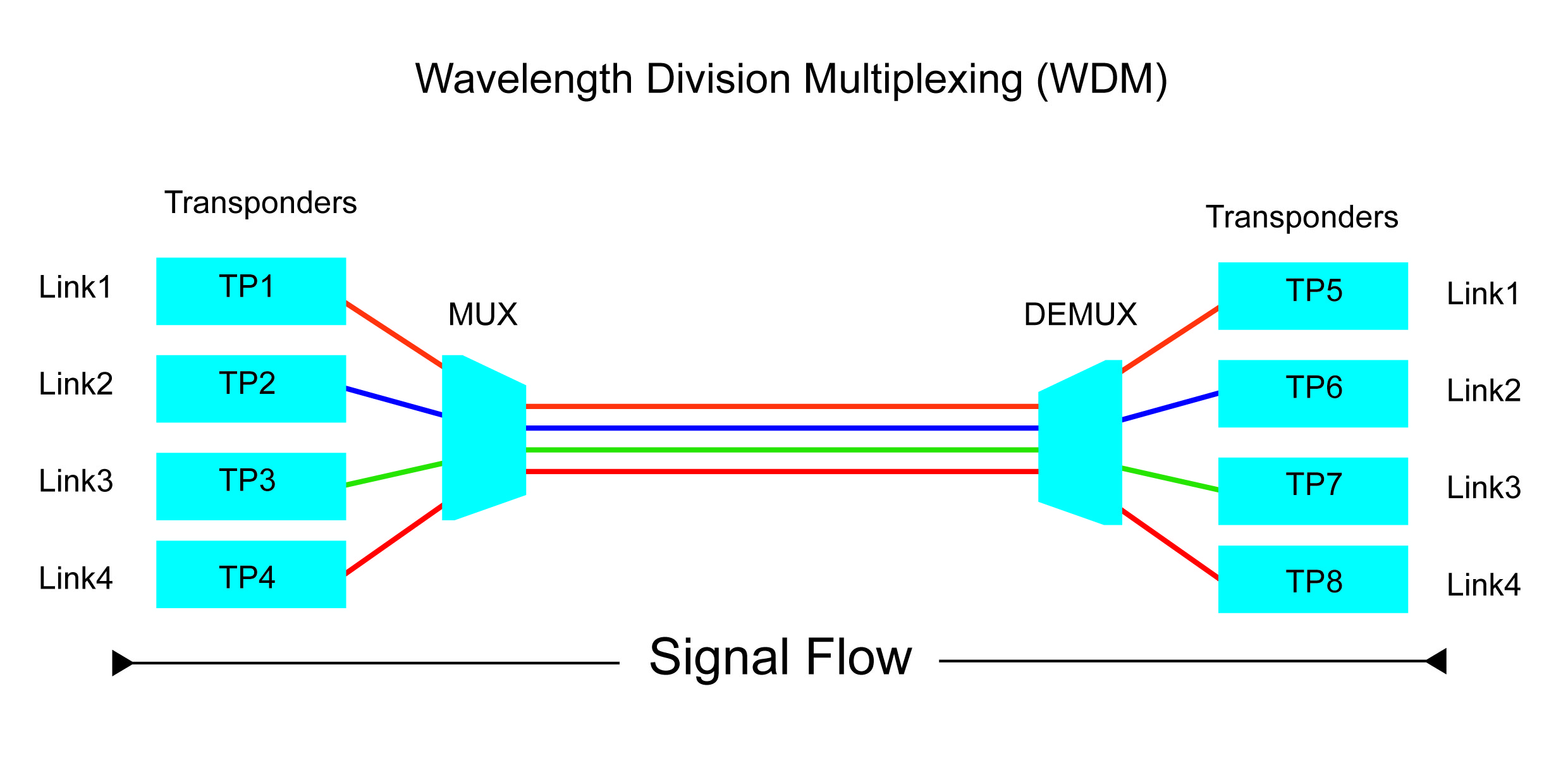 WDM.jpg