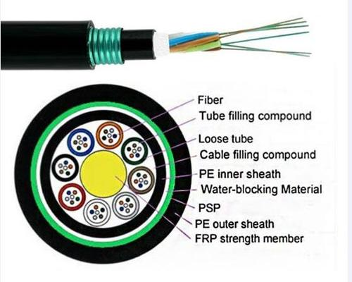 fiber_optic_patch_cord.jpg