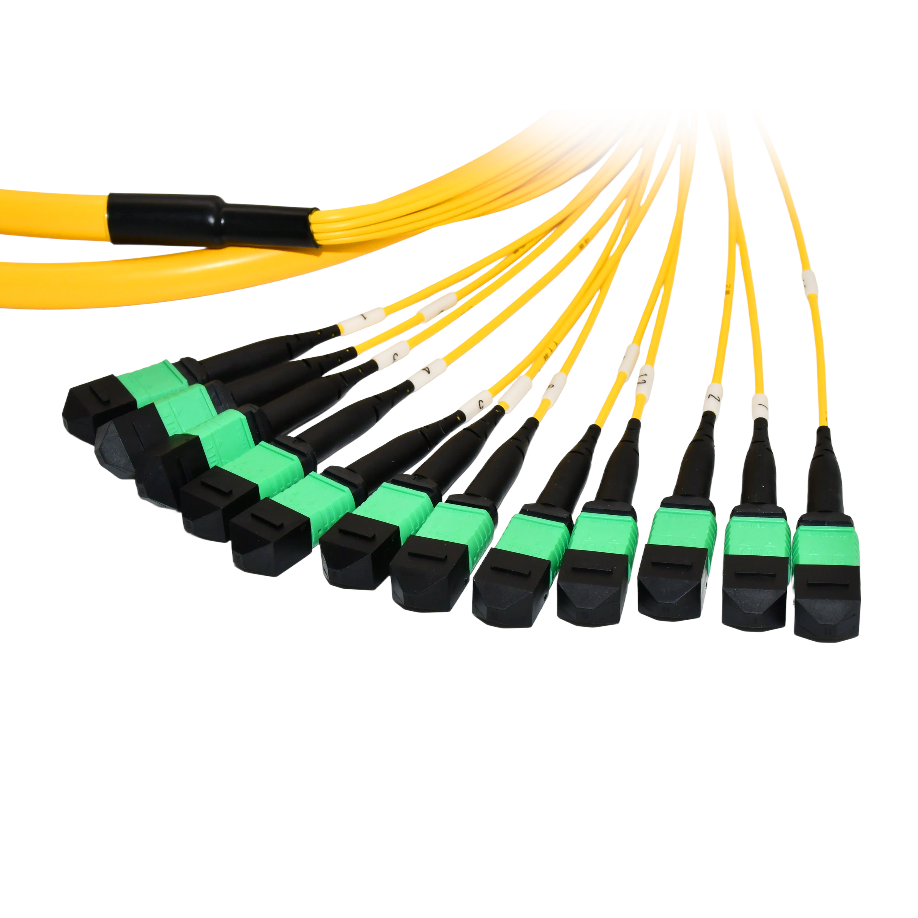 cc1fd6e873ea62414530b8d6d8f8251