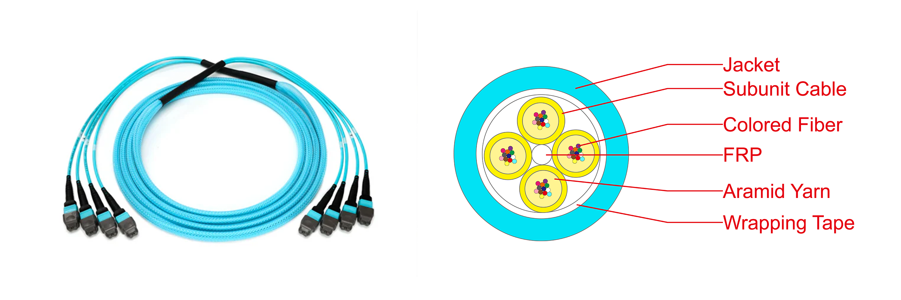 MPO_MTP_fibers.png MPO_MTP_fibers.png