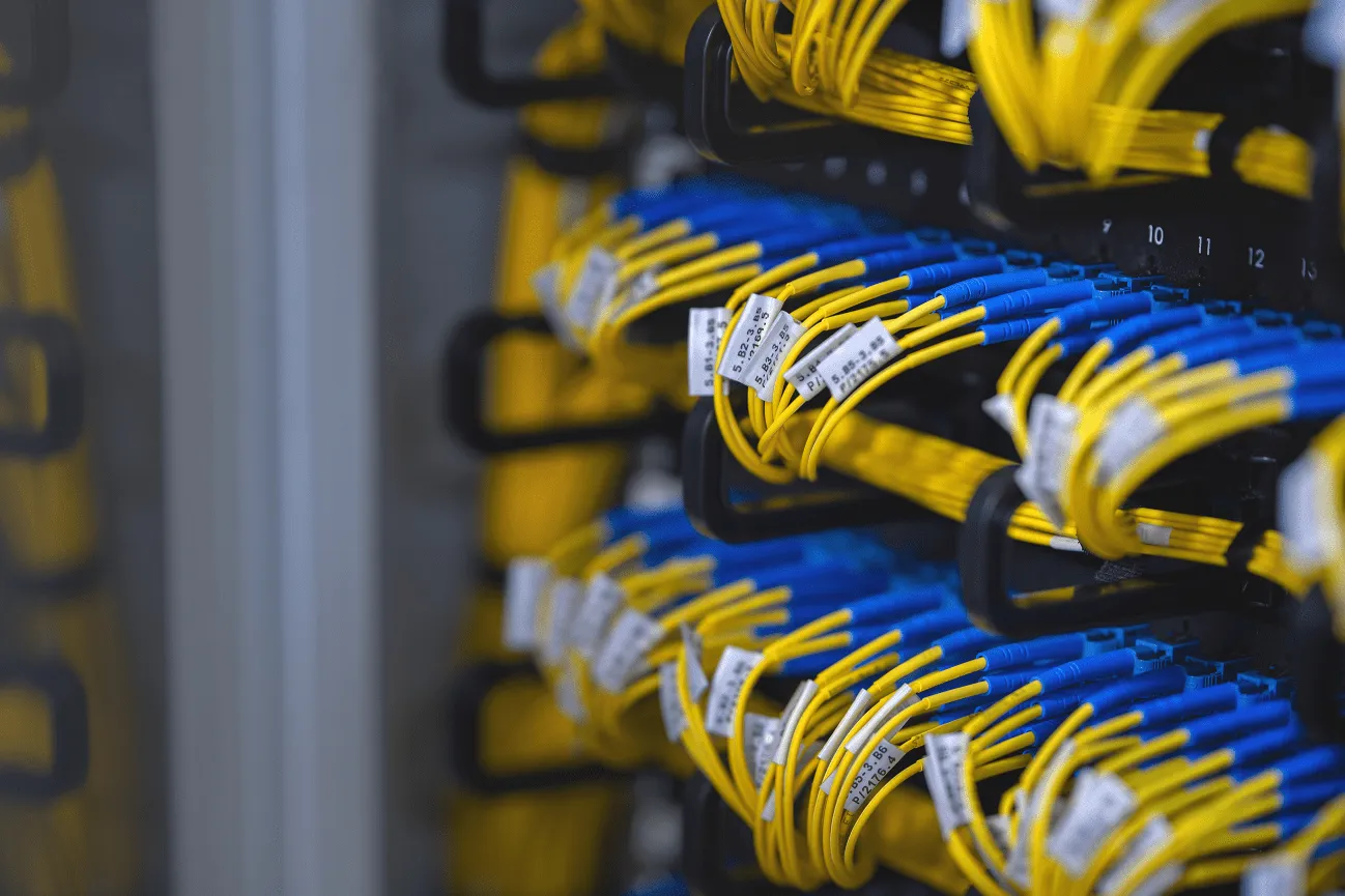 single_mode_fiber_patchcord.jpg